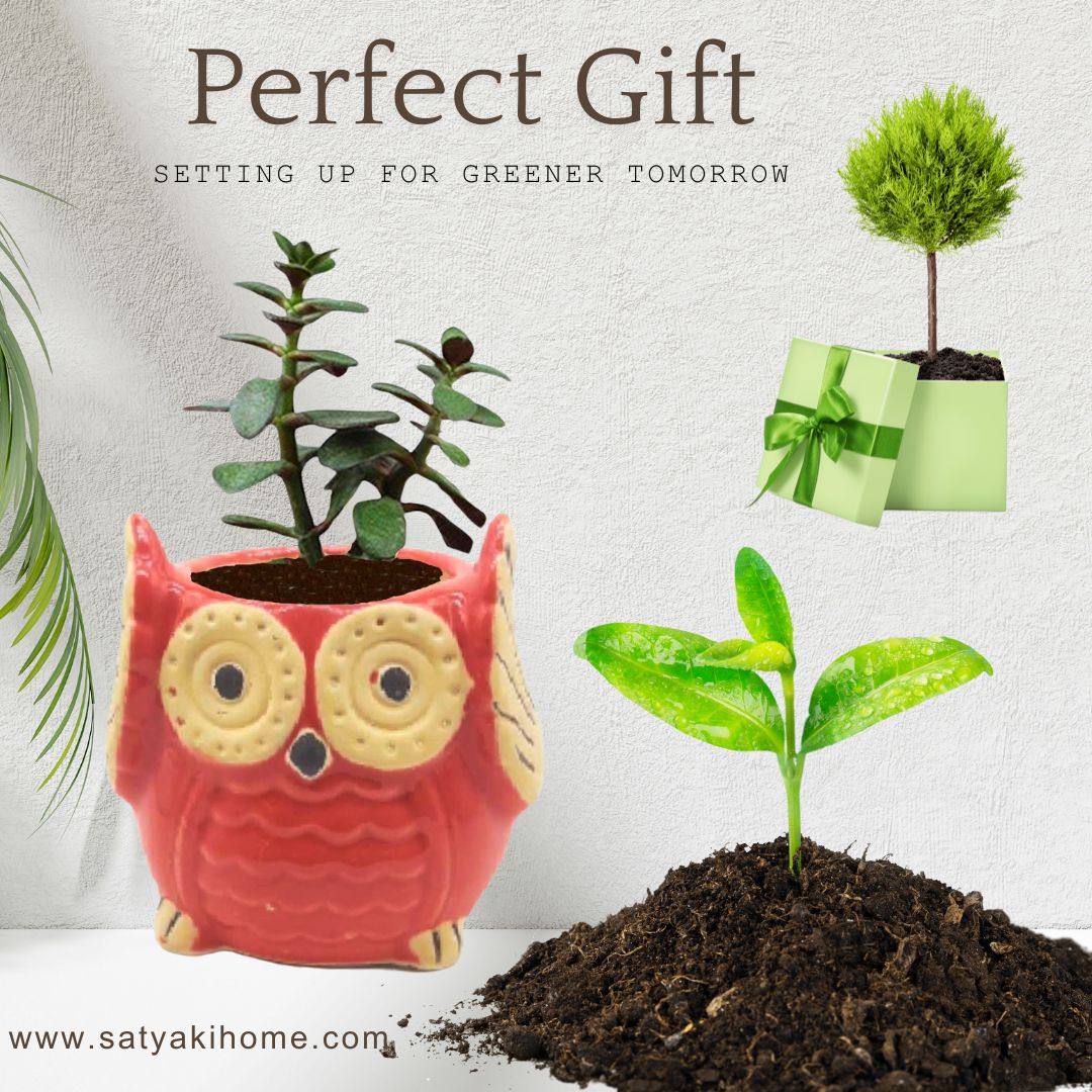 Owl Shape Ceramic Planter Pot