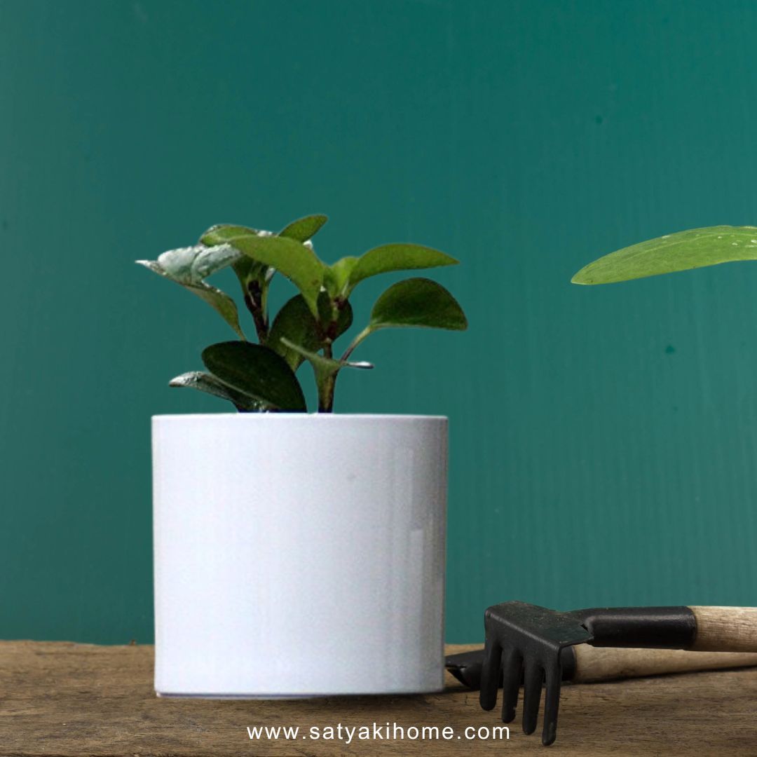 white modern plant pot Satyaki Pipe Shaped White Ceramic Pot | Planter