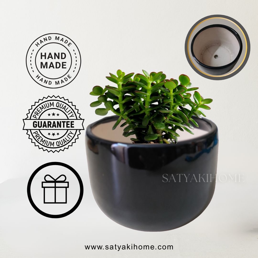 Black Beauty Table Planter