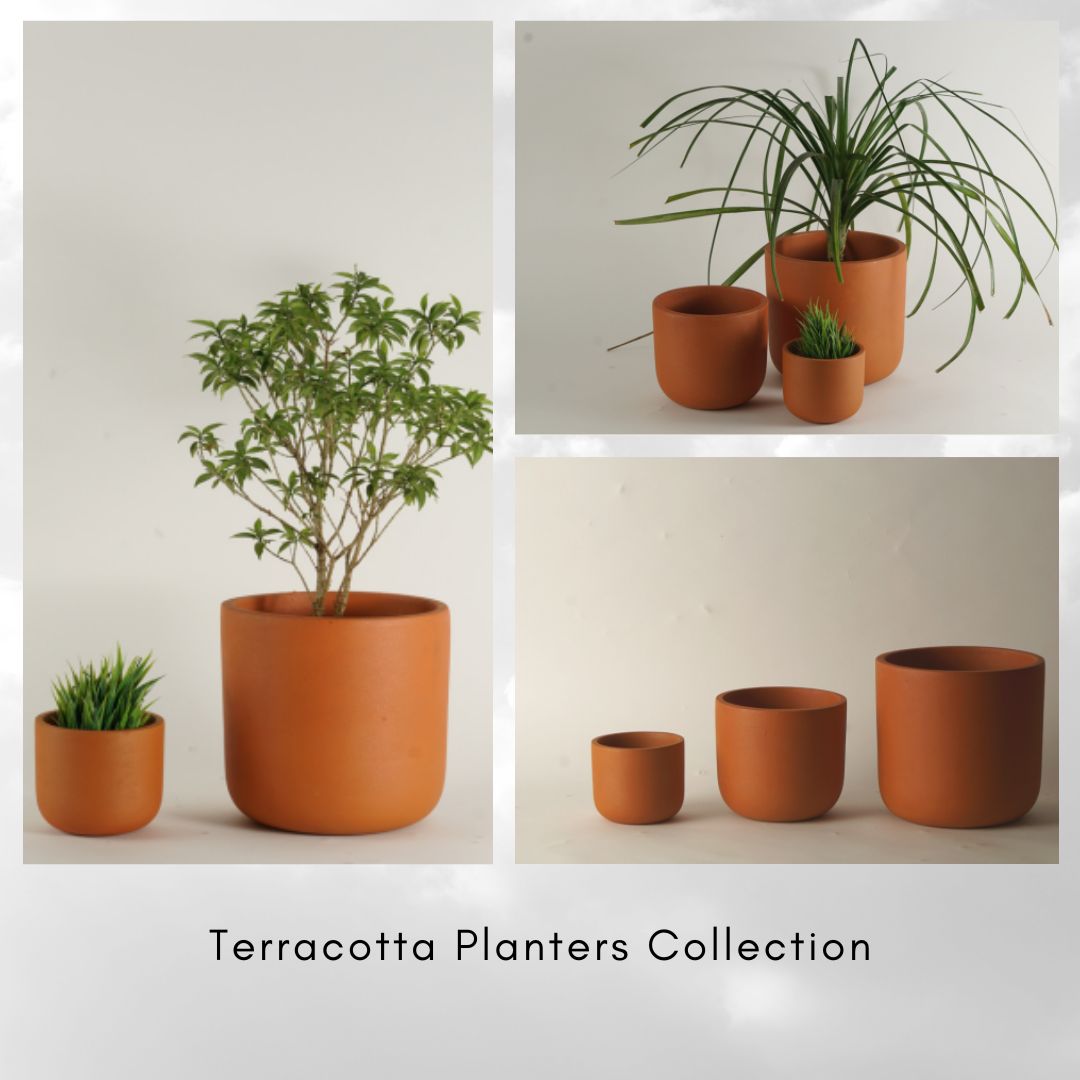 terracotta plant pots indoor Terracotta Pot | Indoor Planter | 10 cm x 11.5 cm