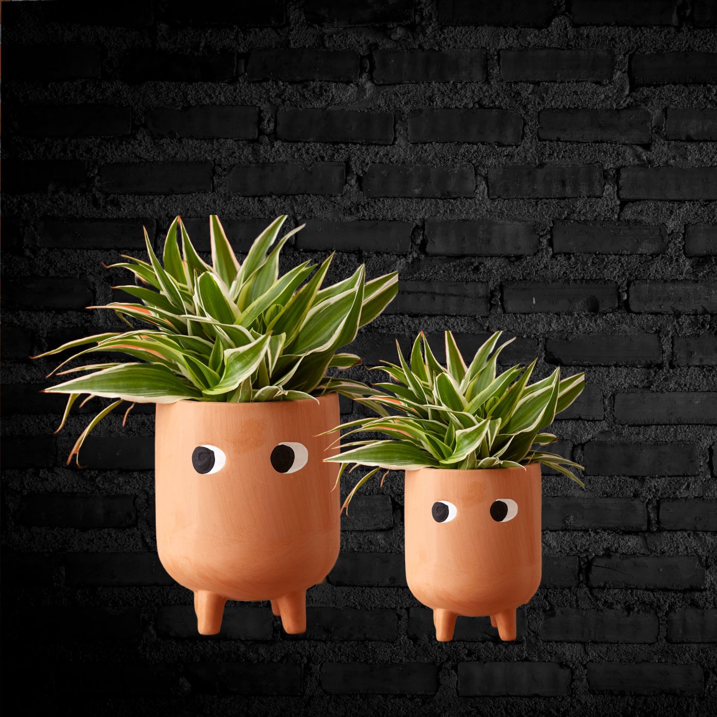 Hand - Painted Terracotta Color Planter | Set of 2