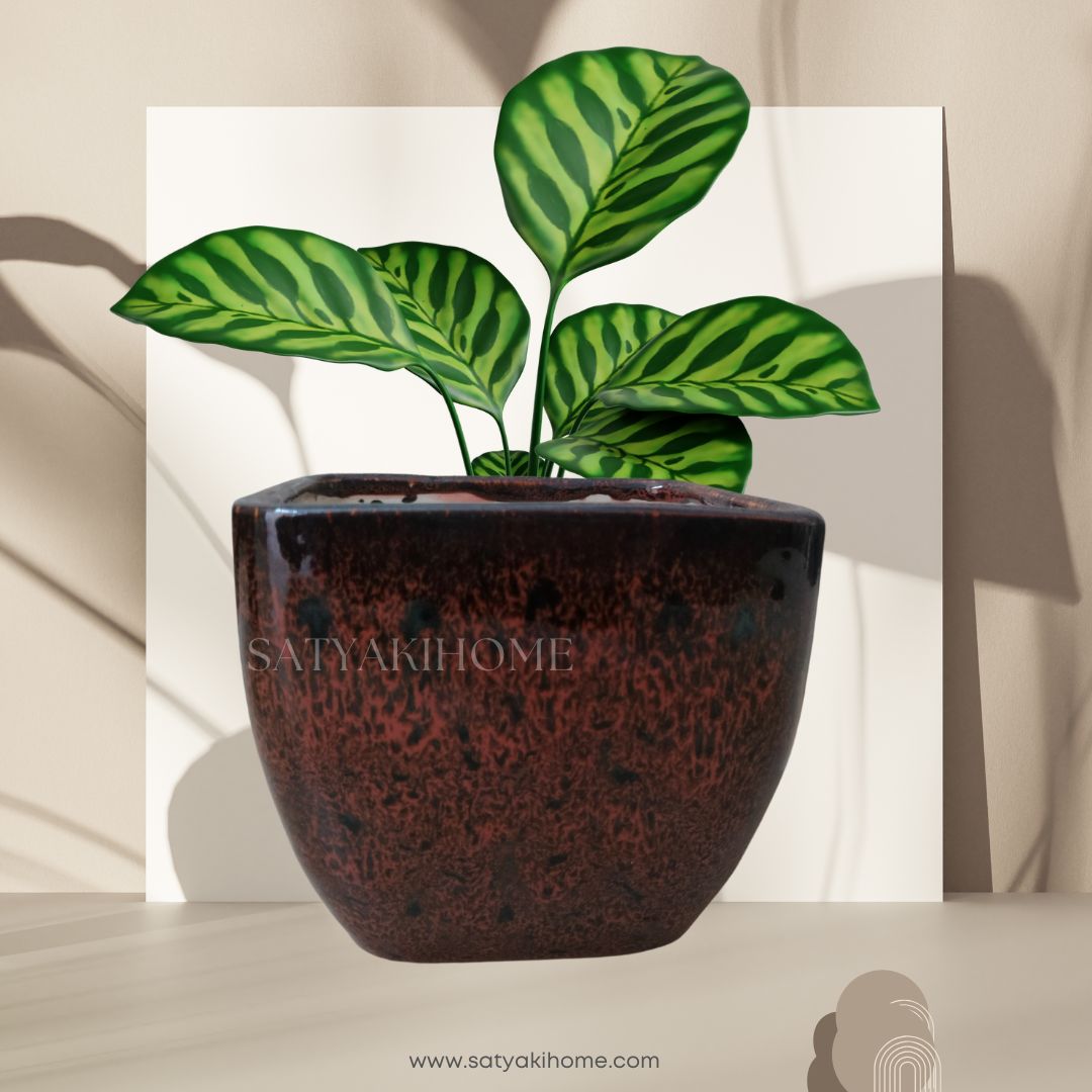 Deep Brown Ceramic Planter