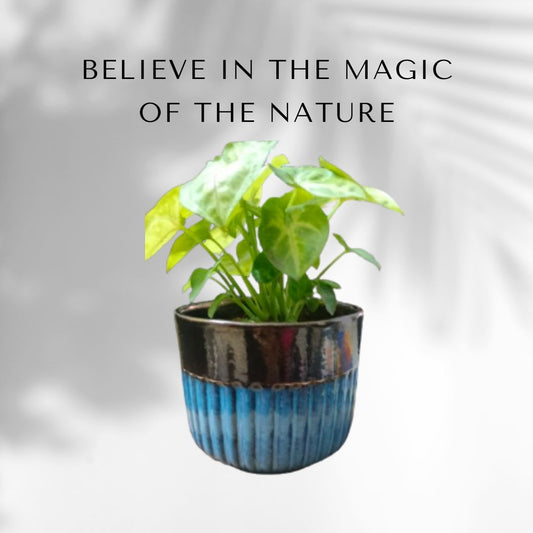 Golden Glazed Deep Blue Ceramic Pot | Planter | 4.5H X 5.5D