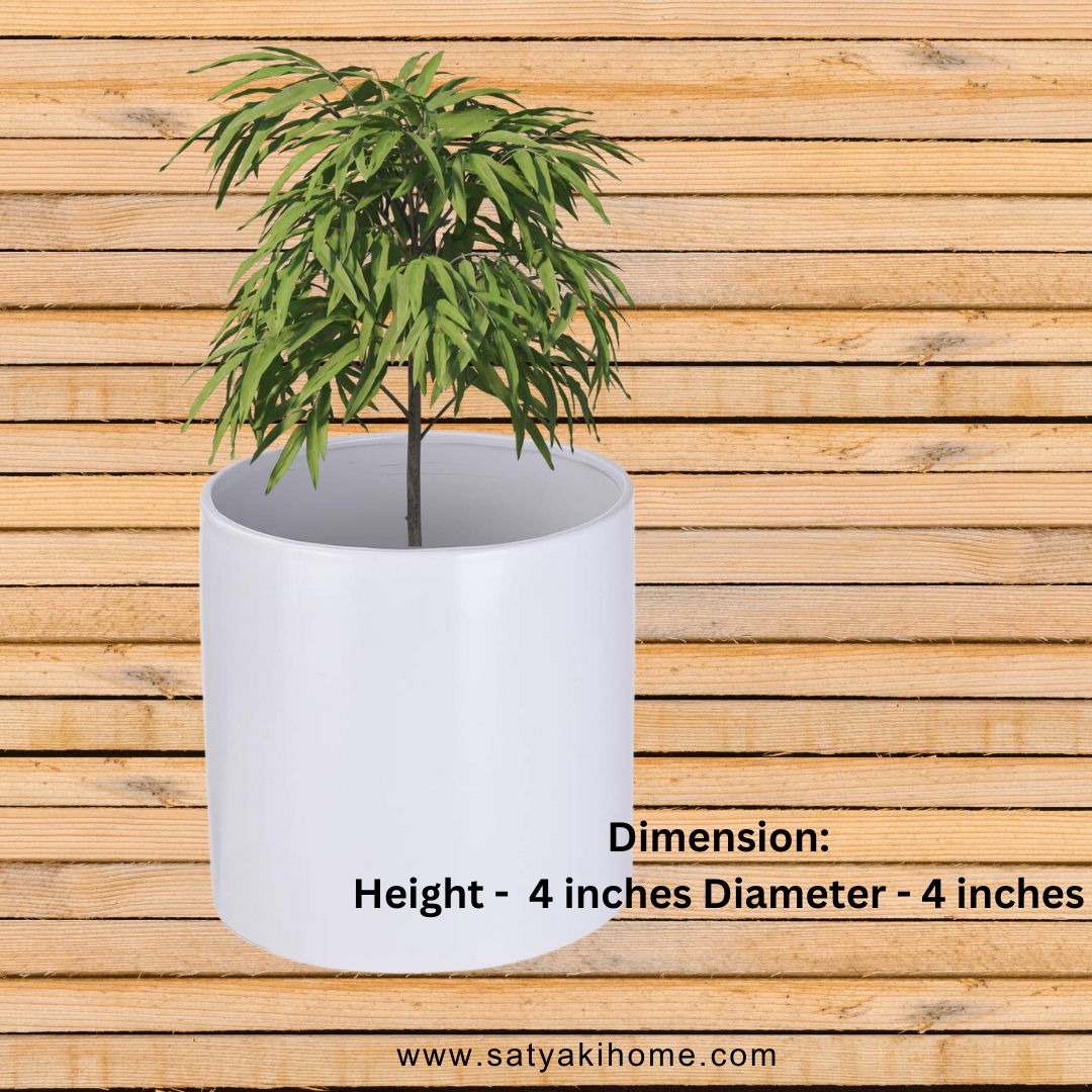 Satyaki Pipe Shaped White Ceramic Pot | Planter | 4H X 4D