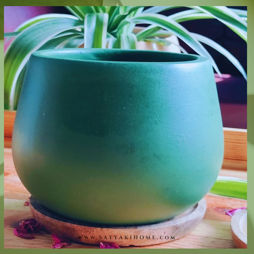 Matte Painted Terracotta Pot | Indoor Planter | Dark Green