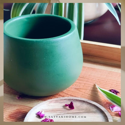 Matte Painted Terracotta Pot | Indoor Planter | Dark Green