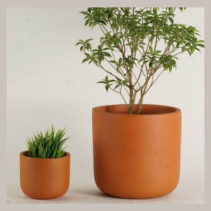 Natural Terracotta Pot | Indoor Planter | Set of 2