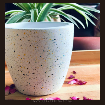 Terrazzo Terracotta Pot | Indoor Planter | Set of 1