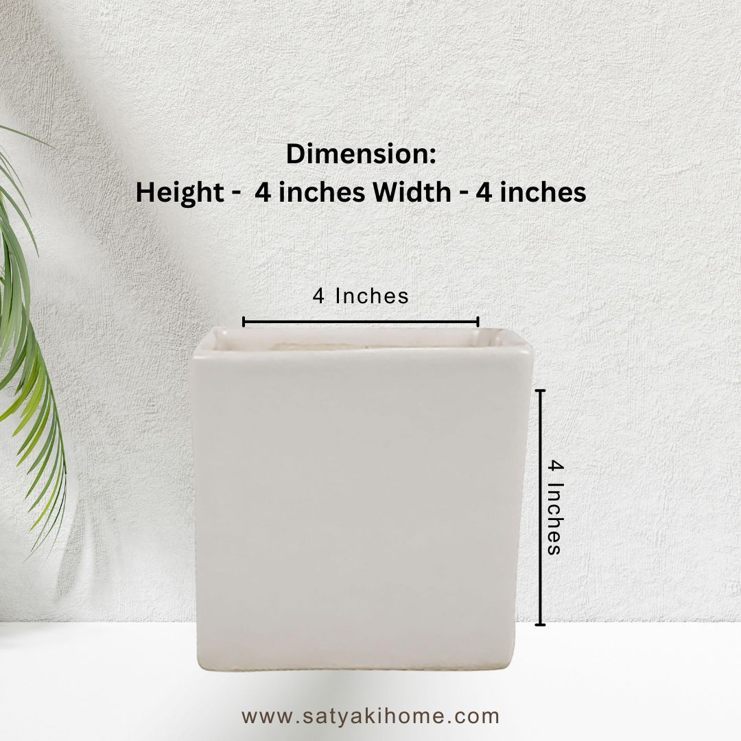 Satyaki Square Shaped White  Ceramic Pot | Planter | 4H X 4W