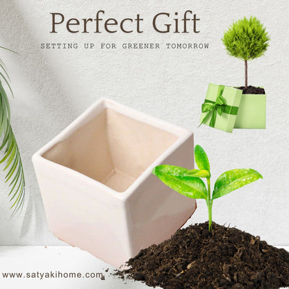 Satyaki Square Shaped White  Ceramic Pot | Planter | 4H X 4W