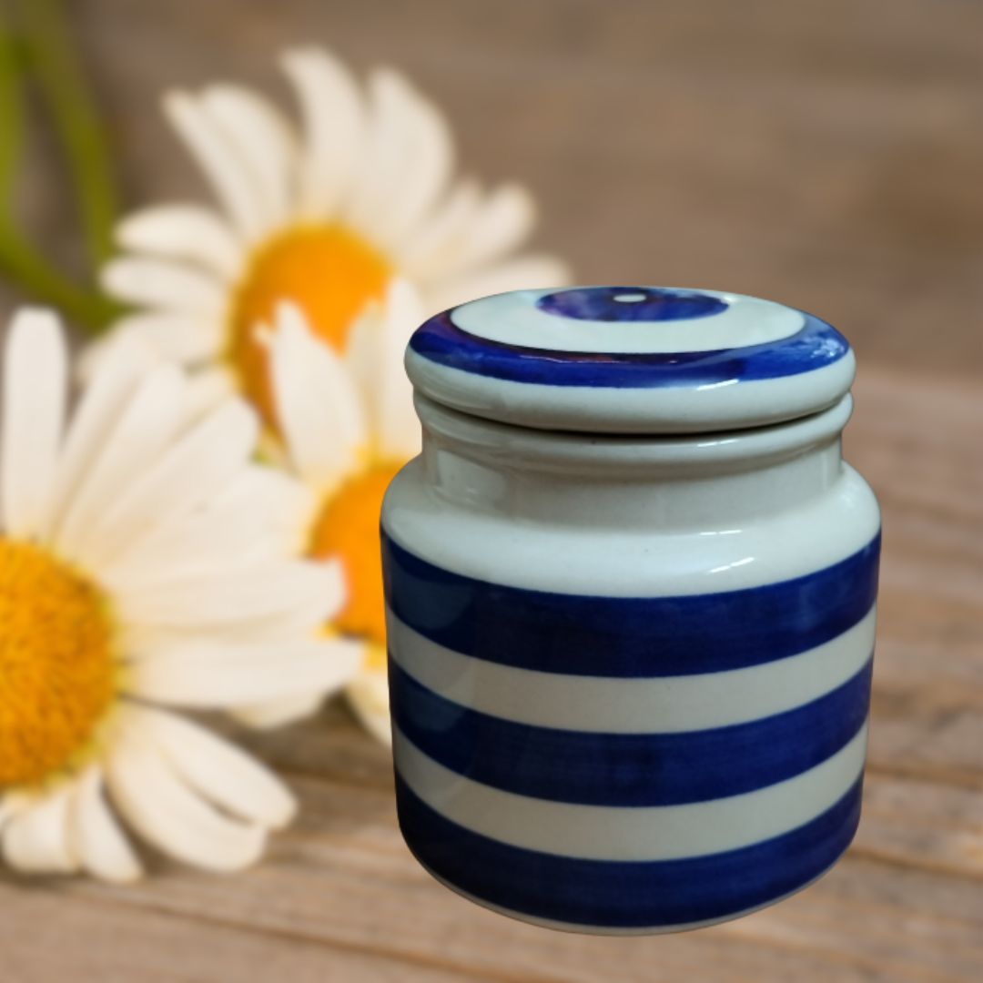 Hand Painted Blue Stripe Air Tight Jar - Set of 2 l Vacuum Sealed Jars l Kitchen Canisters